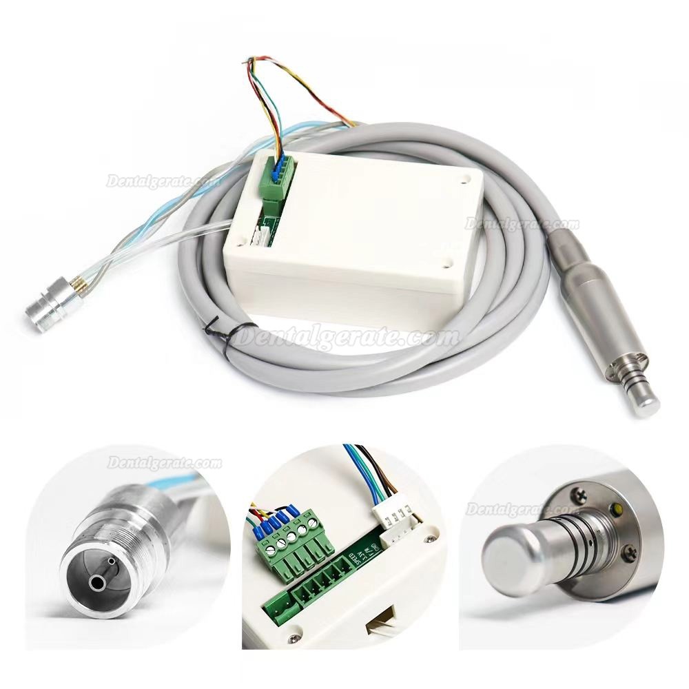 Eingebauter B&uuml;rstenloser Mikromotor Zahnmedizin mit LED f&uuml;r Zahnarztst&uuml;hle